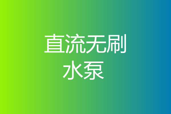 直流無(wú)刷水泵