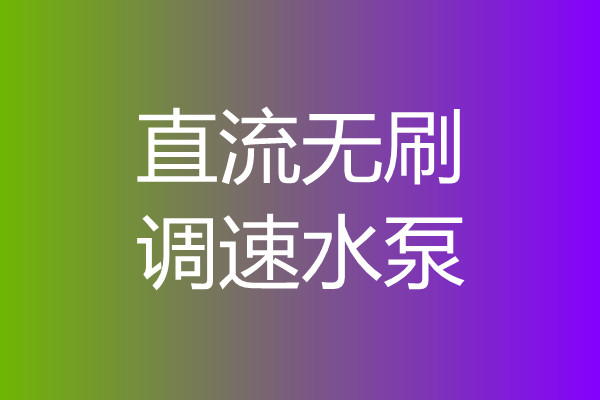 直流無(wú)刷調(diào)速水泵